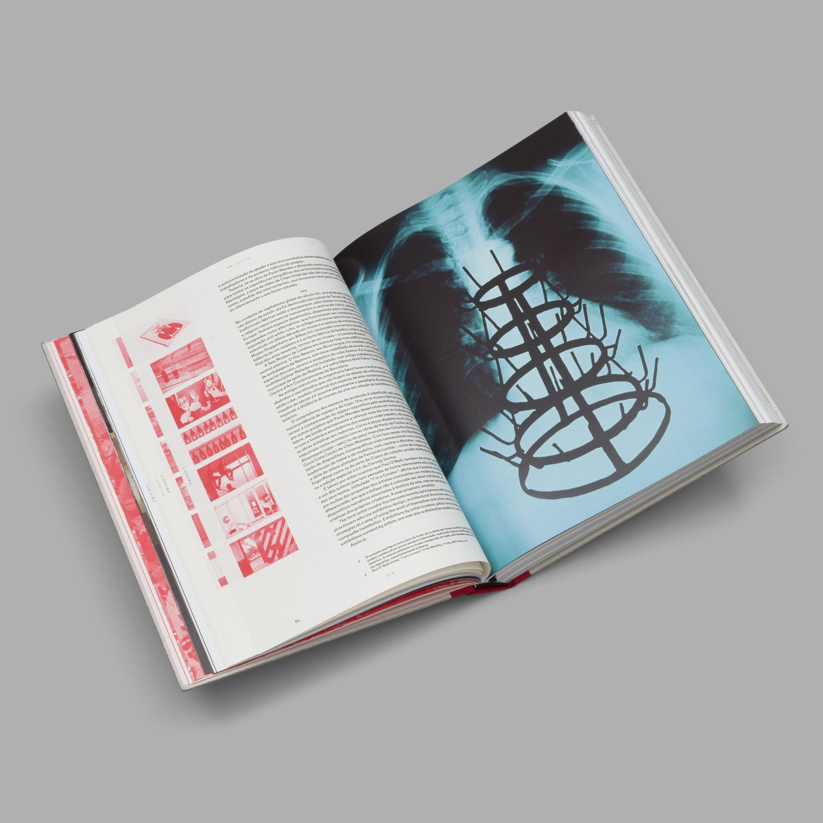 © Nikolai Nekh